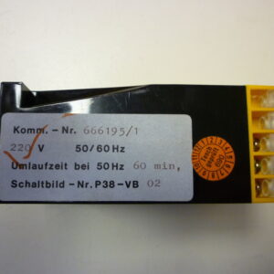 Tesch P38-VB X02 Relay time delay 60 min - Image 2